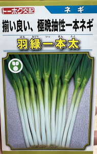 lM  HΈ{ yR[g5000z g[zNc cp v   K  ˂ {lM ^l lM  ƒ؉ _ ZNg  ؎q v^[ ؎ ܂ R͔|