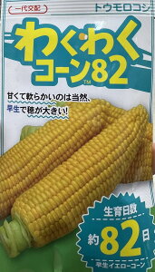 XC[gR[ 킭킭R[82  2000  cp JlRc  v ƒ؉ _ ZNg  Ƃ낱 gERV ^l
