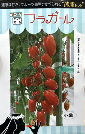 ミニトマト 種 フラガール 大袋 100粒 営利用 トキタ種苗 タネ たね 野菜 プロ向け 家庭菜園 農家 セレクト