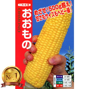 スイートコーン 種 おおもの 2000粒 【2025年10月末期限】 ナント 種苗 タネ たね 黄色 トウモロコシ の 種類 家庭菜園 プロ向け 大袋 小袋 農家 セレクト 畑 種まき 送料無料 おお もの とうもろ
