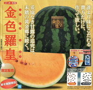 スイカ 種 金色羅皇 【15粒】 ナント種苗 すいか ラオウ 家庭菜園 プロ向け 甘い 限定販売 スイカ金色羅…