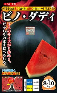 XCJ smE_fB 100 igc  ƒ؉ v