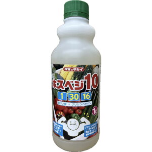 t̔엿 zXxW10 1L ^LC c c t 엿 ǔɔQ