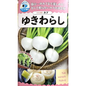 カブ 種 蕪 ゆきわらし カネコ種苗 蕪 かぶ 家庭菜園 プランター栽培 大袋 小袋 美味しい