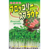 ブロッコリー スプラウト 種 1000ml お徳用 種子無消毒 スルフォラファン 家庭菜園 水耕栽培 家庭菜園 野…