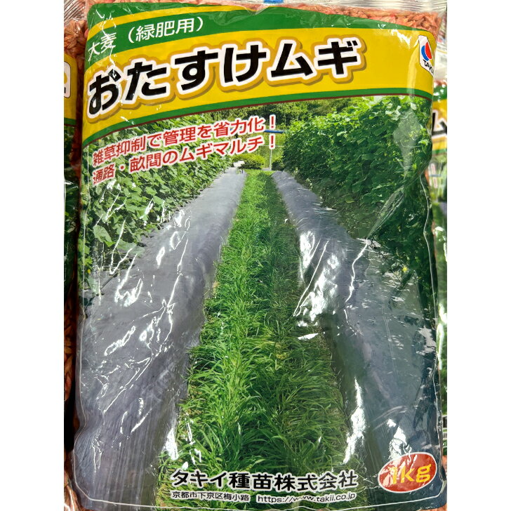 緑肥おたすけムギ1kgリビングマルチ雑草抑制