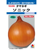 玉ねぎ 種 タマネギ ソニック 2dl タキイ 種苗 家庭菜園 プロ向け 大袋 小袋 農家 セレクト たね タネ