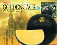 スイカ 種 3Xゴールデン・ジャック ナント種苗 種なし すいか 家庭菜園 プロ向け 甘い 限定販売 スイカ金…