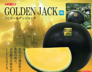 XCJ  3XS[fEWbN igc Ȃ  ƒ؉ v Â ̔ XCJF S[fWbN 햳 V[hX q  R͔| ʕ ØI XCJ