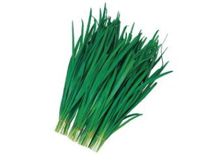 j  X[p[O[xg   c ɂ   ƒ؉ v   _ ZNg