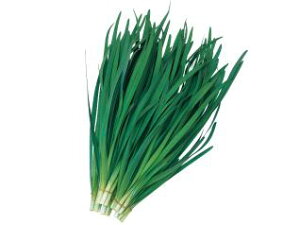 j  ptO[xg   c ɂ   ƒ؉ v   _ ZNg