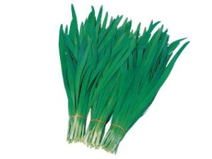 j  _[O[xg   c ɂ   ƒ؉ v   _ ZNg