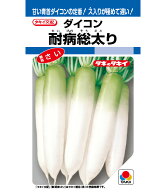 大根 種 耐病総太り タキイ 種苗 家庭菜園 プロ向け 大袋 小袋 農家 セレクト たね タネ ダイコンの大定…