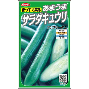 LE  t[_   TJ^  ^l C{Ȃ  ƒ؉ Hn͔|