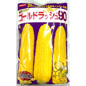 �X�C�[�g�R�[�� �� �S�[���h���b�V�� 90 �y2000���z�T�J�^�̎� �c���p �^�l ���� ���F �g�E�����R�V �� ��� �ƒ�؉� �v������ ��� ���� �_�� �Z���N�g �� ��܂� �������� �Ƃ����낱�� �Â�