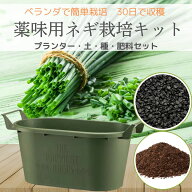 薬味 ネギ 栽培 キット ベランダ で 家庭菜園 初心者 向け 簡単 おいしい 何度もできる うどん そば 豆腐…