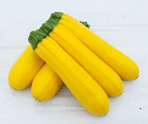 YbL[j  XCG[V 100 ig c   ƒ؉ v   _ ZNg