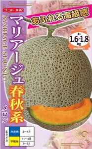   }A[WtHn ig ƒ؉ ؂̎ ؉  v^[͔| x_؉ ƒ؉S |S ȒP͔| ؍ ƍ͔| In͔| nEX͔| nA A 