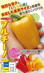 pvJ  v`[m CG[ y100z ig c ƒ؉ ؂̎ ؉  v^[͔| x_؉ v^[؉ ƒ؉S |S ȒP͔| ؍ ƍ͔| I