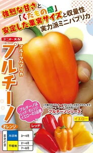 pvJ  v`[m IW y100z ig c ƒ؉ ؂̎ ؉  v^[͔| x_؉ v^[؉ ƒ؉S |S ȒP͔| ؍ ƍ͔| I