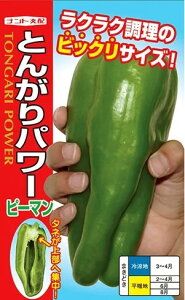 s[}  Ƃ񂪂p[ ig c ƒ؉ ؂̎ ؉  v^[͔| x_؉ v^[؉ ƒ؉S |S ȒP͔| ؍ ƍ͔| In͔| nEX