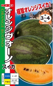 XCJ  IWH[m ig c   ƒ؉ v   _ ZNg