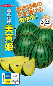 XCJ  ܔP ig c   ƒ؉ v   _ ZNg