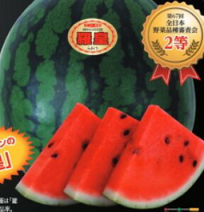 XCJ  cZ 200 ig c    ƒ؉ v   _ ZNg