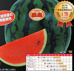 XCJ  cAR 200 ig c    ƒ؉ v   _ ZNg