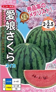 XCJ   ig c    ƒ؉ v   _ ZNg