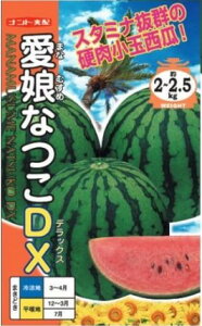 XCJ  ȂDX ig c    ƒ؉ v   _ ZNg