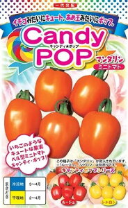 ~jg}g  LfB[|bv }_ igc  ^l v ƒ؉ _ ZNg  g}g   g}g̎ Â i ؎  ؉ ƒ؉g}g R