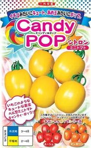 g}g  LfB[|bv Vg ig c   ƒ؉ v   _ ZNg