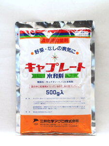 _ ( Lv[ga 500g )|Eۍ K[fpi _Ɨp ƒ؉ aC ΍ |pEۍ ƒp _   _Ǝ |pi |pށEGi _Ɨp | _ K[fj