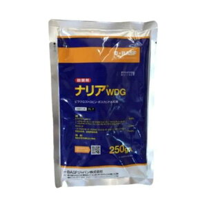 _ ( iAWDG 250g )|Eۍ K[fpi _Ɨp ƒ؉ aC ΍ |pEۍ ƒp _   _Ǝ |pi |pށEGi _Ɨp | _ K[fjO K[f