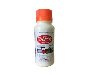 _ ( tsJtAu 250cc )|Eۍ K[fpi _Ɨp ƒ؉ aC ΍ |pEۍ ƒp _   _Ǝ |pi |pށEGi _Ɨp | _ K[fj