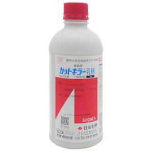 _ KbgL[ 500ml |ۍ K[fpi _Ɨp ƒ؉ aC ΍ |pEۍ ƒp   _Ǝ |pi |pށEGi _Ɨp | _ K[fjO K[