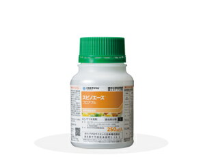_ XsmG[XtAu 250ml |ۍ K[fpi _Ɨp ƒ؉ aC ΍ |pEۍ ƒp   _Ǝ |pi |pށEGi _Ɨp | _ K[fj