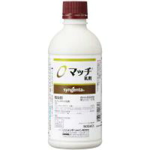 _ }b` 500cc |ۍ K[fpi _Ɨp ƒ؉ aC ΍ |pEۍ ƒp   _Ǝ |pi |pށEGi _Ɨp | _ K[fjO K[fj
