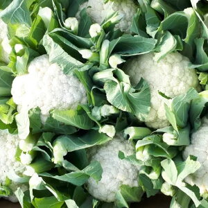 Jt[  ]bgrAR75 gL^  c   ƒ؉ v   _ ZNg