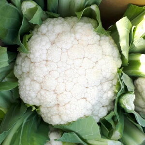 Jt[  ]bgrAR45 gL^  c   ƒ؉ v   _ ZNg