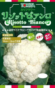 Jt[  ]bgrAR90 gL^  c   ƒ؉ v   _ ZNg