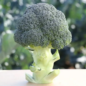 ubR[  b gL^  c   ƒ؉ v   _ ZNg