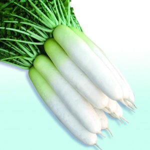 卪  ł񑾘Y2 gL^  c   ƒ؉ v   _ ZNg