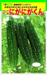 S[  ɂɂ gL^  c   ƒ؉ v   _ ZNg