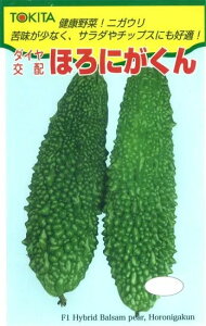 S[  قɂ gL^  c   ƒ؉ v   _ ZNg