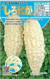 ゴーヤ 種 しろにがくん トキタ 種 苗 おいしい 種類 家庭菜園 プロ向け 大袋 小袋 農家 セレクト 純白 収穫タイミング 耐暑性 ベランダ菜園 プランター菜園 プランター栽培 強健 育てやすい 初心者向け 夏野菜 苦瓜 野菜の種 種 種子 種まき ゴーヤ栽培 家庭用 農家用