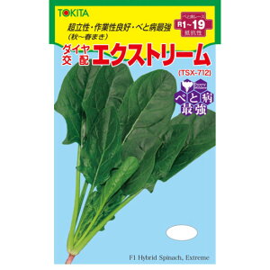 zE\E  GNXg[ gL^  c   ƒ؉ v   _ ZNg