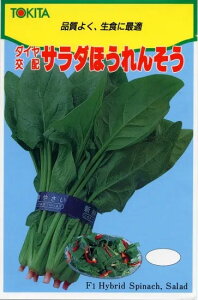 zE\E  T_ق񂻂 gL^  c   ƒ؉ v   _ ZNg