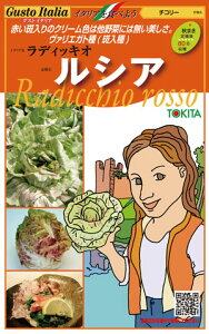 ラディッキオ 種 ルシア イタリア 野菜 種 トキタ 種 苗 グストイタリア おいしい 種類 家庭菜園 プロ向け 大袋 小袋 農家 セレクト
